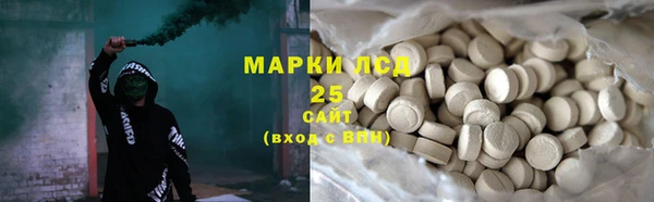 spice Аркадак