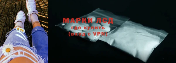 spice Аркадак