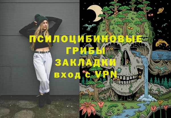 эйфоретик Арсеньев