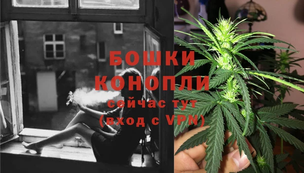 spice Аркадак