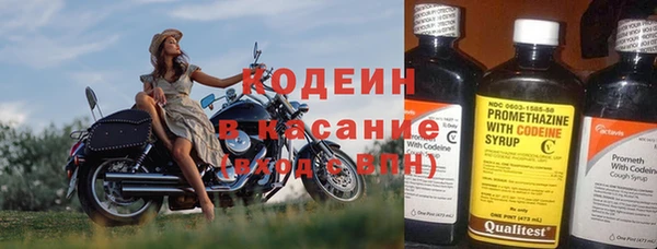эйфоретик Арсеньев