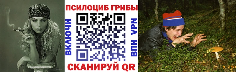 даркнет сайт Балтийск Псилоцибиновые грибы Psilocybe